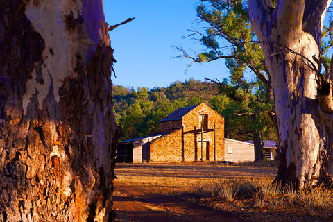 Yura Udnyu - Our Culture, Your Culture (Aboriginal Cultural Walk) - Perths Hotel 4