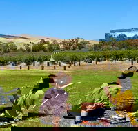 Private Picnic and Wine Tasting Experience in Barossa Valley - Perths Hotel