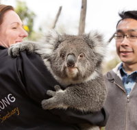 Bonorong Wildlife Park and Richmond Afternoon Tour from Hobart - Perths Hotel
