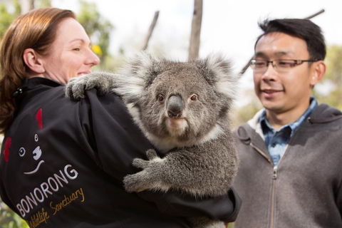 Bonorong Wildlife Park And Richmond Afternoon Tour From Hobart - Perths Hotel 0