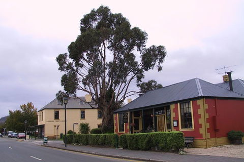 Bonorong Wildlife Park And Richmond Afternoon Tour From Hobart - Perths Hotel 3