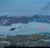 30-Minute Sydney Harbour and Olympic Park Helicopter Tour - Perths Hotel