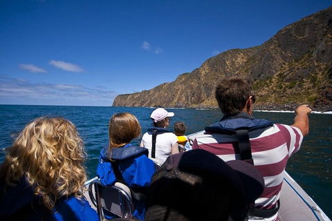 Seal Island Boat Tour From Victor Harbor - Perths Hotel 0