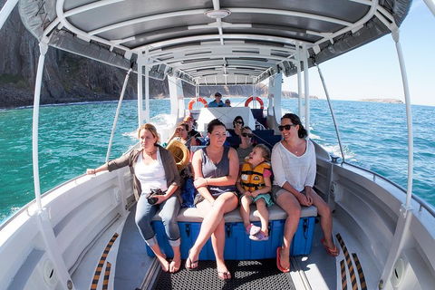 Seal Island Boat Tour From Victor Harbor - Perths Hotel 1