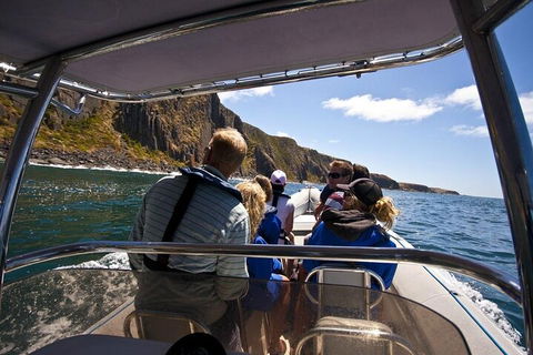 Seal Island Boat Tour From Victor Harbor - Perths Hotel 2