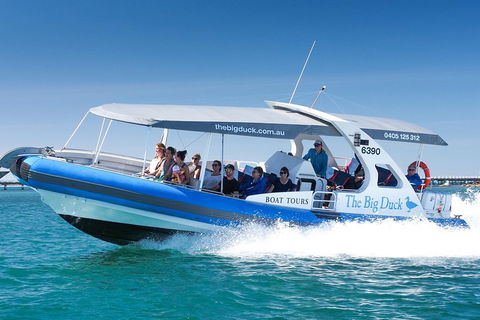 Seal Island Boat Tour From Victor Harbor - Perths Hotel 3
