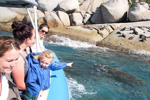 Seal Island Boat Tour From Victor Harbor - Perths Hotel 4