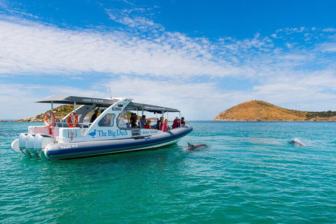 Southern Ocean Adventure From Victor Harbor - Perths Hotel 1