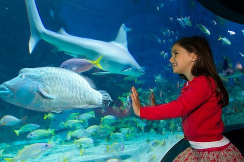 Melbourne BIG Ticket - LEGOLAND Discovery And SEA LIFE Melbourne - Perths Hotel 1