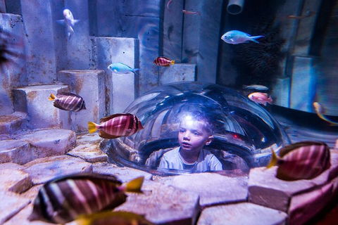 Melbourne BIG Ticket - LEGOLAND Discovery And SEA LIFE Melbourne - Perths Hotel 5