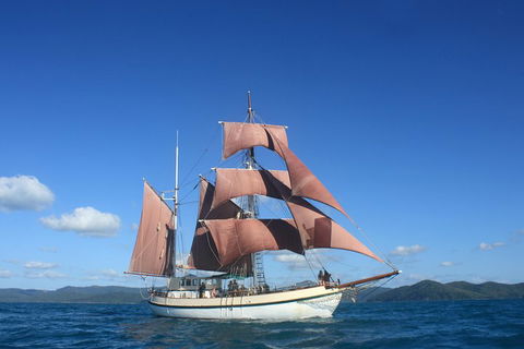 Sydney Harbour Tall Ship Whale & Sail - Whale Watching Cruise - Perths Hotel 1