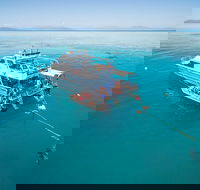 Ocean Freedom Great Barrier Reef Personal Luxury Snorkel  Dive Cruise Cairns - Perths Hotel