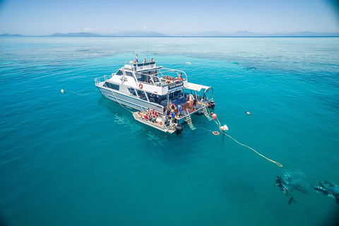 Ocean Freedom Great Barrier Reef Personal Luxury Snorkel & Dive Cruise, Cairns - Perths Hotel 0