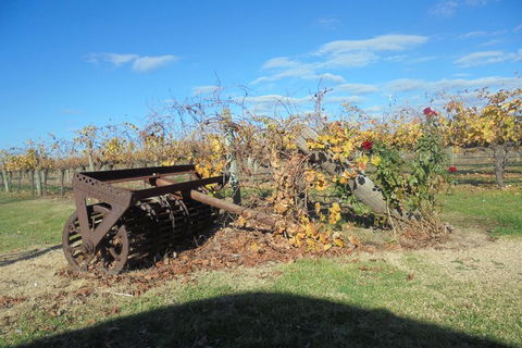 Swan Valley Tour From Perth: Wine, Beer And Chocolate Tastings - Perths Hotel 3