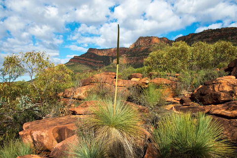 6-Day Eyre Peninsula & Flinders Ranges Adventure Tour - Perths Hotel 1