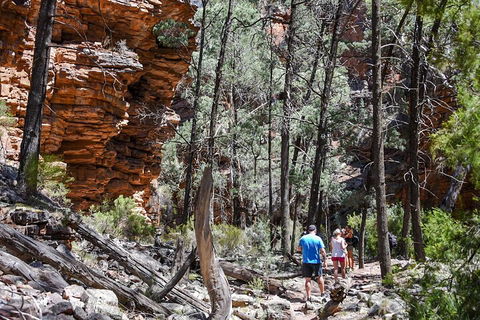 6-Day Eyre Peninsula & Flinders Ranges Adventure Tour - Perths Hotel 5