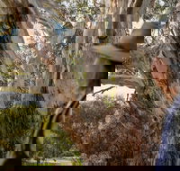 NEW TOUR - Kangaroo Island Road to Recovery Tour 1 Day/1 Night - Perths Hotel