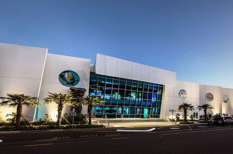 Cairns Aquarium Admission Ticket - Perths Hotel 4