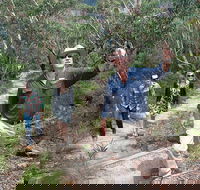 Small-Group Blue Mountains Tour with Bush Walks and Featherdale Wildlife Park - Perths Hotel