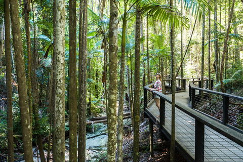 All-Inclusive Fraser Island Day Tour - Perths Hotel 5