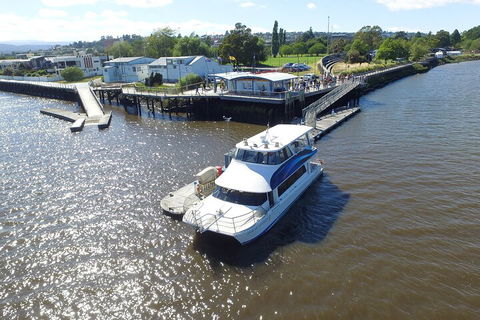 2.5 Hour Morning Discovery Cruise Including Sailing Into The Cataract Gorge - Perths Hotel 3