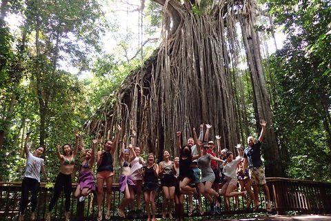 Atherton Tablelands Waterfalls Tour From Cairns - Perths Hotel 5
