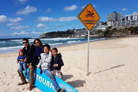 1Day Sydney Private Car Charter With Driver - Perths Hotel 3