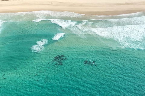 Coastal Helicopter Shared Flight - 20 Minutes - Perths Hotel 4