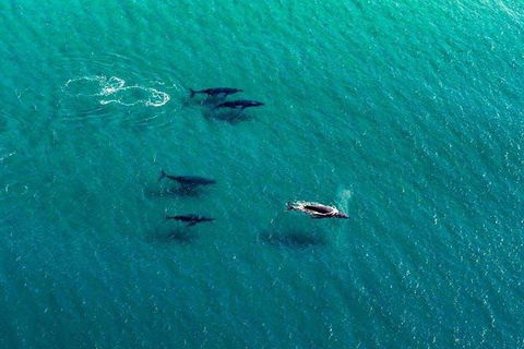 25-30 Minute Newcastle & Macquarie Helicopter Shared Flight - Perths Hotel 4