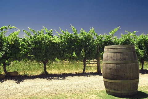 Swan Valley Private Tour - Perths Hotel 4