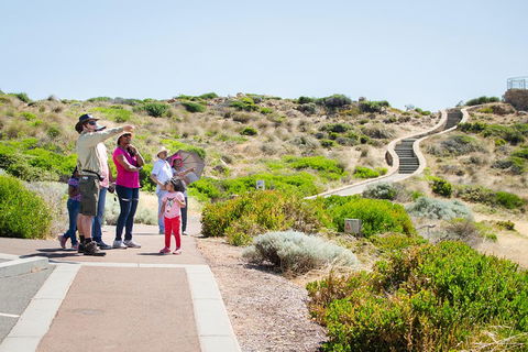 Margaret River Coastal And Wildlife Eco Trip From Busselton Or Dunsborough - Perths Hotel 0